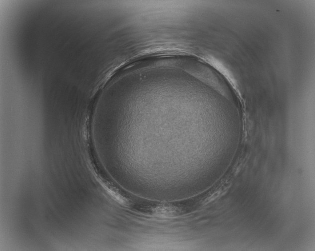 X0000070350105200606091102