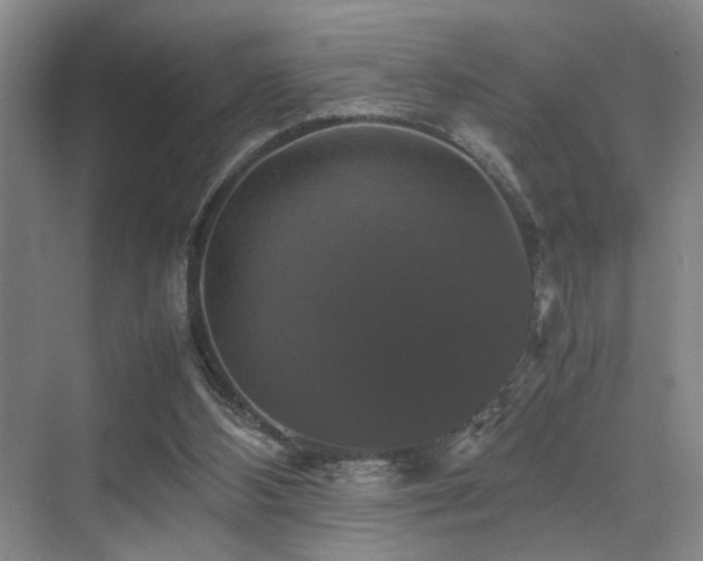 X0000070350108200606091102