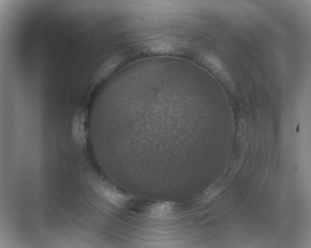 X0000070350116200606091102