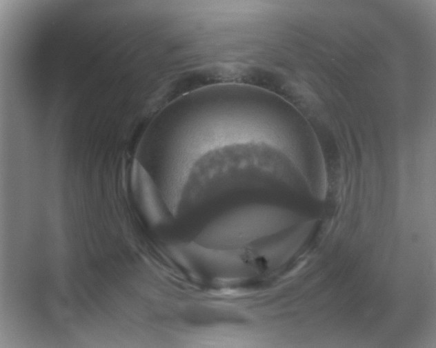 X0000070350131200606091102