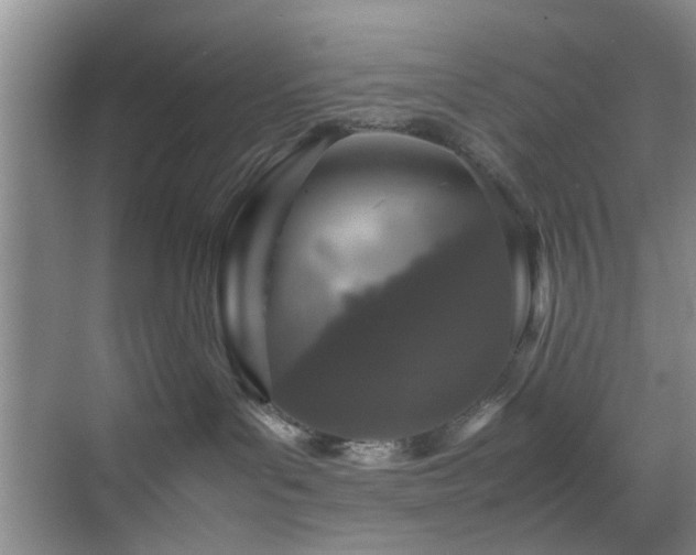 X0000070350143200606091102