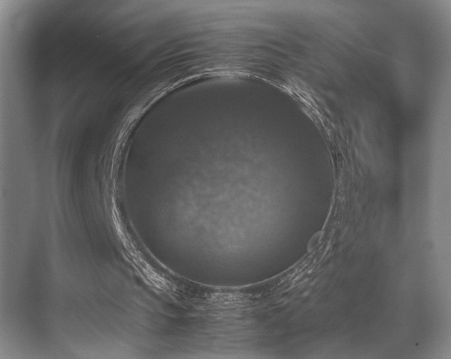 X0000070350145200606091101