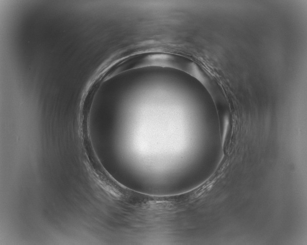 X0000070350150200606091101