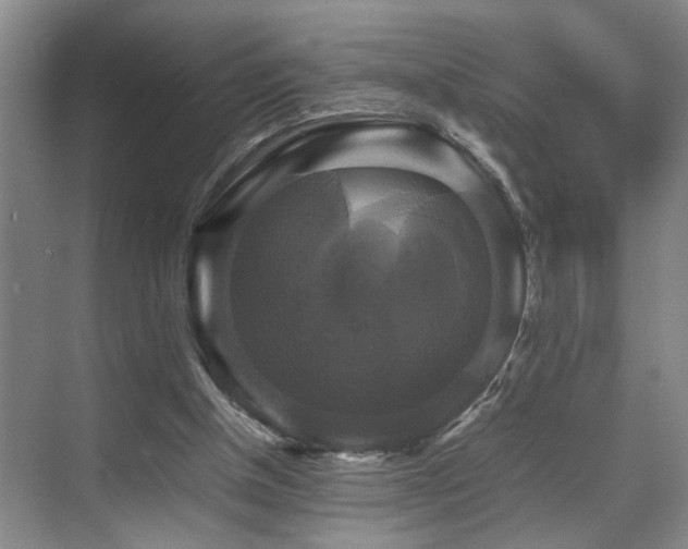 X0000070350154200606091101