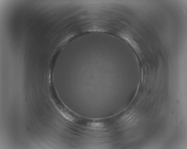 X0000070350157200606091101