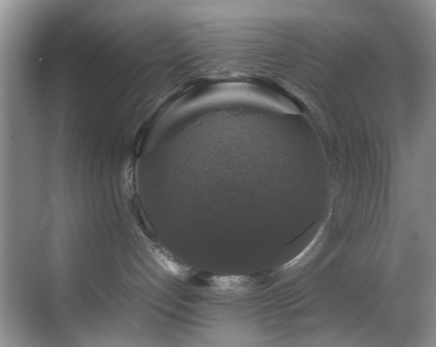 X0000070350192200606091102