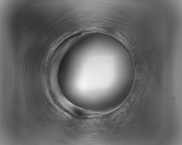 X0000070350193200606091101