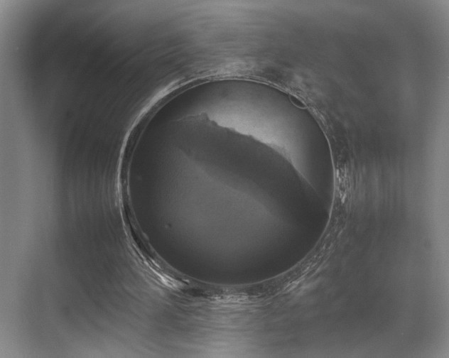 X0000070350196200606091101