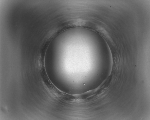 X0000070350212200606091100