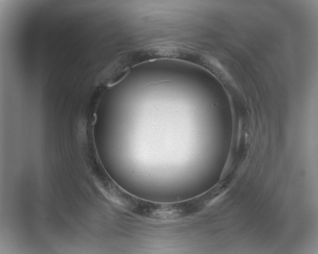 X0000070350213200606091100