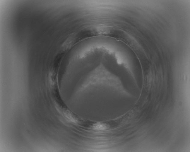 X0000070350218200606091100