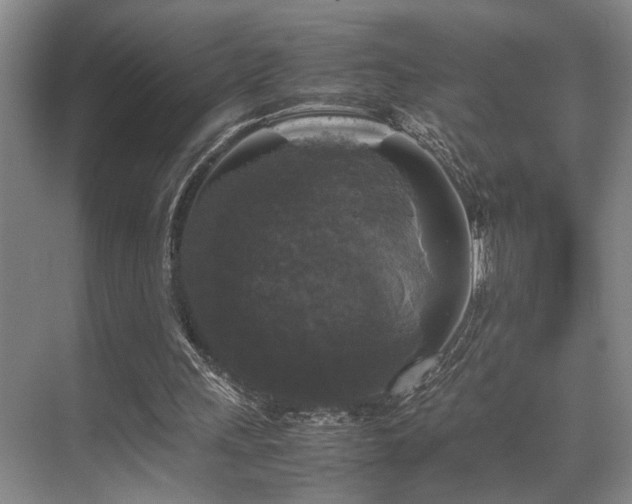 X0000070350243200606091059