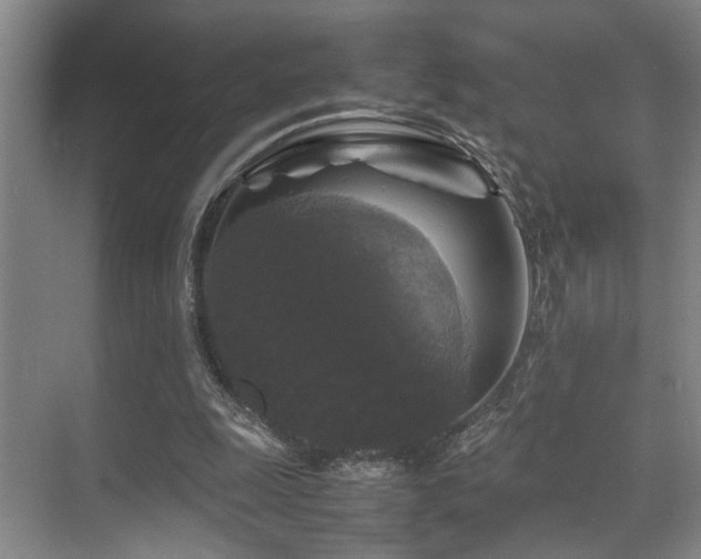 X0000070350247200606091059