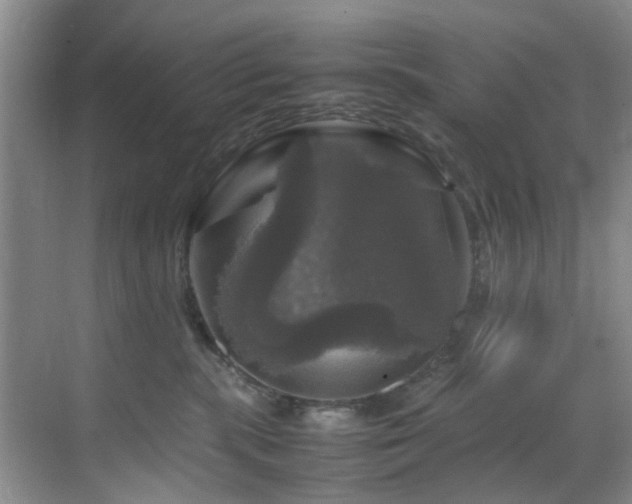 X0000070350283200606091100