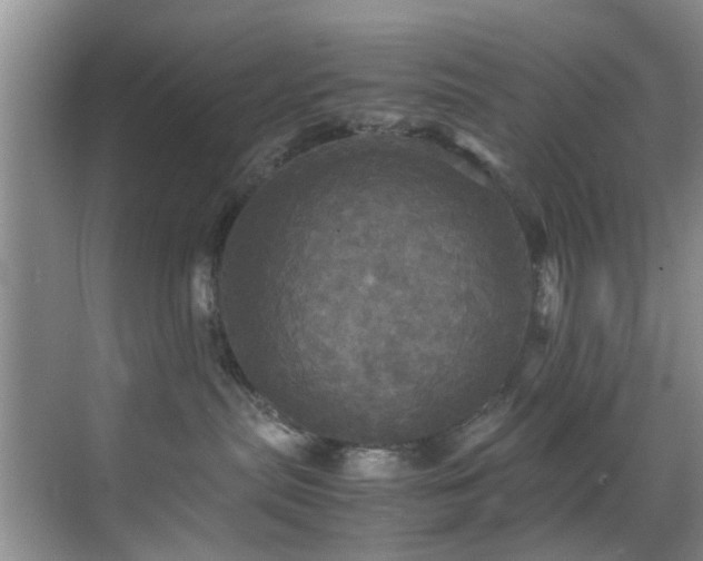 X0000070350287200606091100
