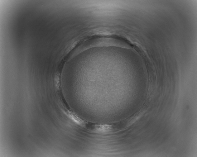 X0000070350288200606091100