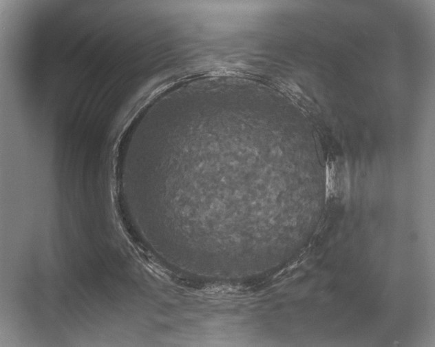 X0000070350291200606091059
