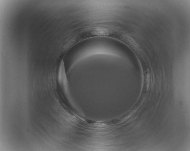 X0000070350322200606091059
