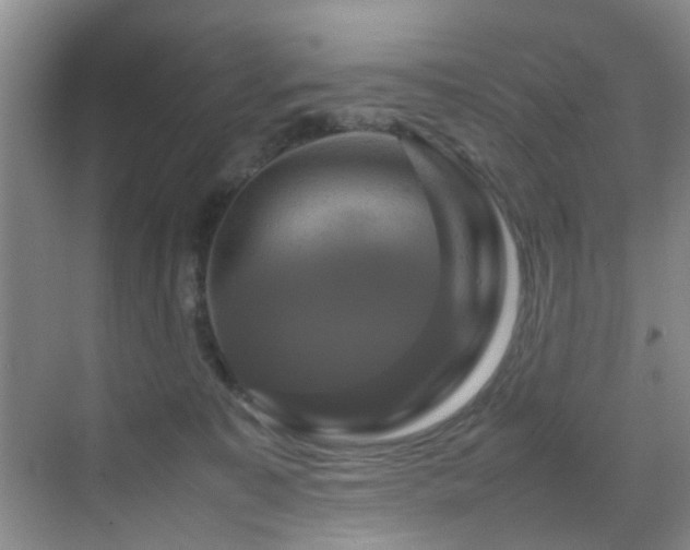X0000070350323200606091059