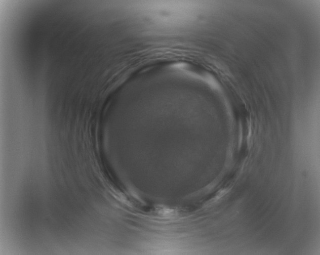 X0000070350325200606091059