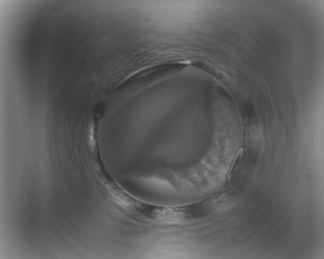 X0000070350331200606091058