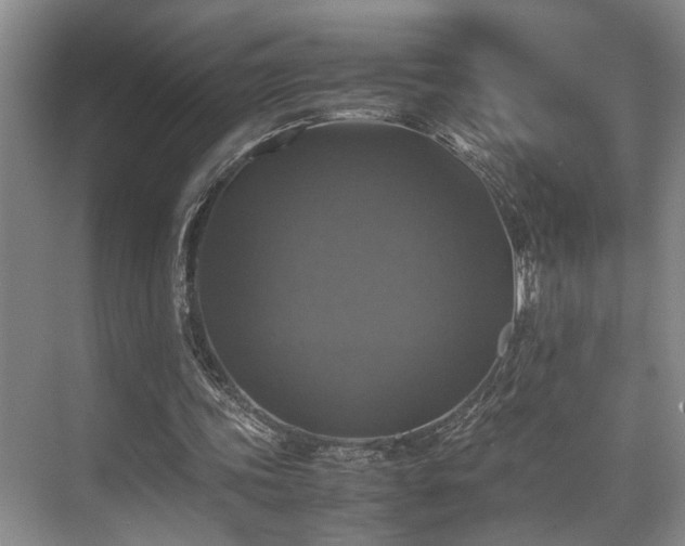 X0000070350339200606091058