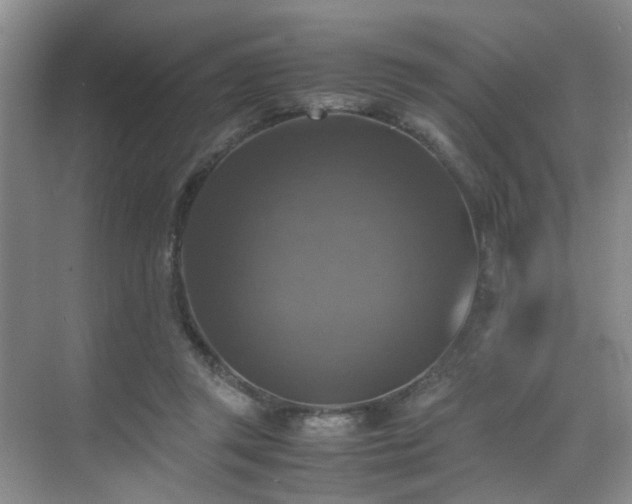 X0000070350357200606091058