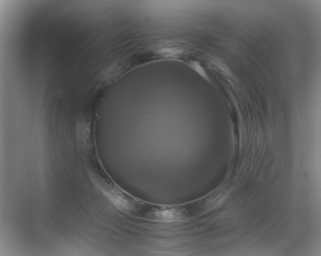 X0000070350365200606091058