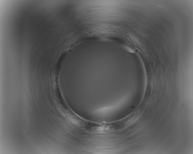 X0000070350366200606091058