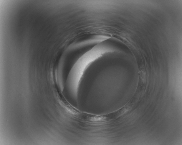 X0000070350375200606091058
