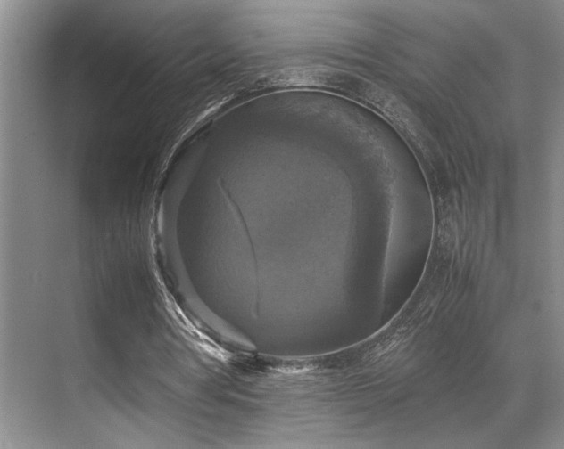X0000070350386200606091058