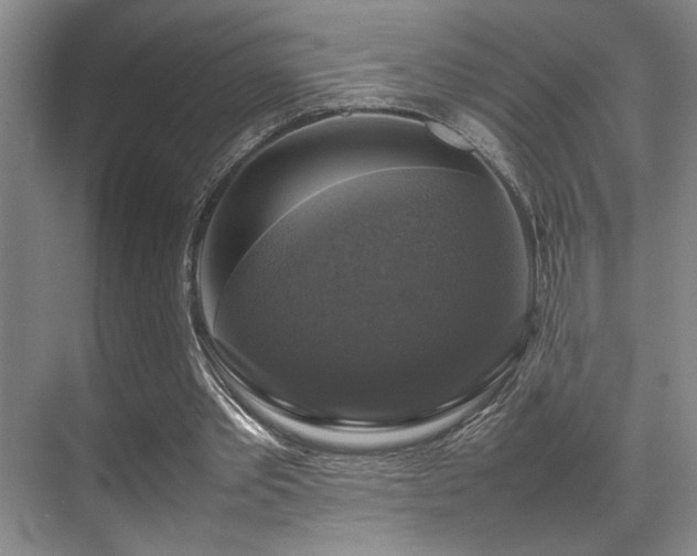 X0000070350389200606091057