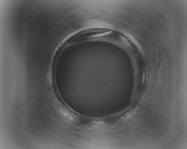 X0000070350391200606091057