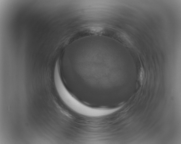 X0000070350412200606091057
