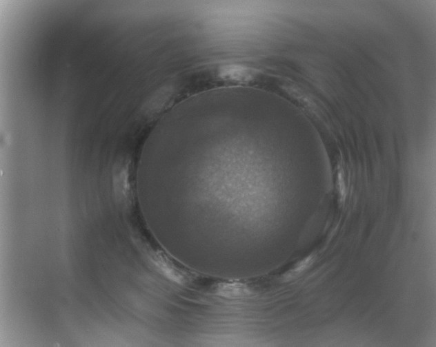 X0000070350424200606091057