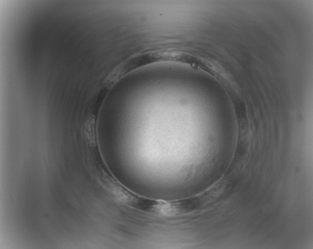 X0000070350425200606091057