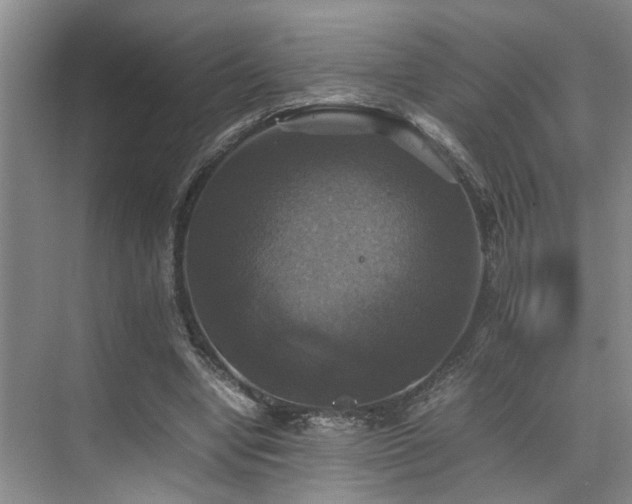 X0000070350442200606091056