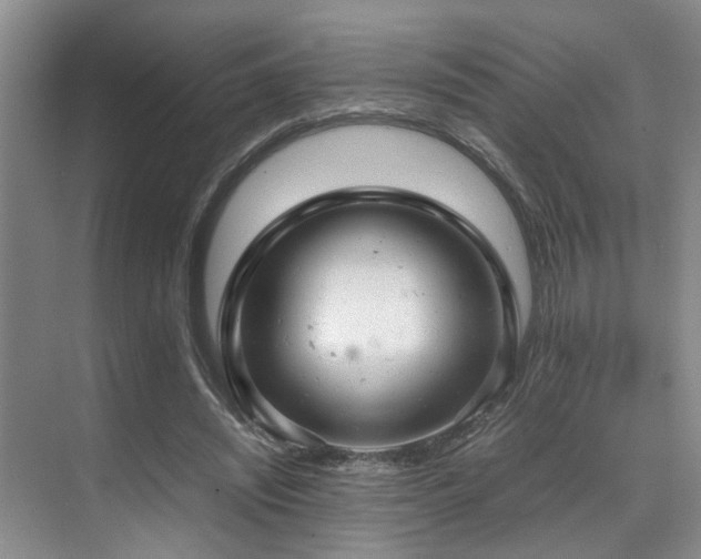 X0000070350444200606091056
