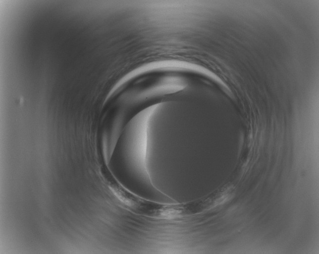 X0000070350462200606091056