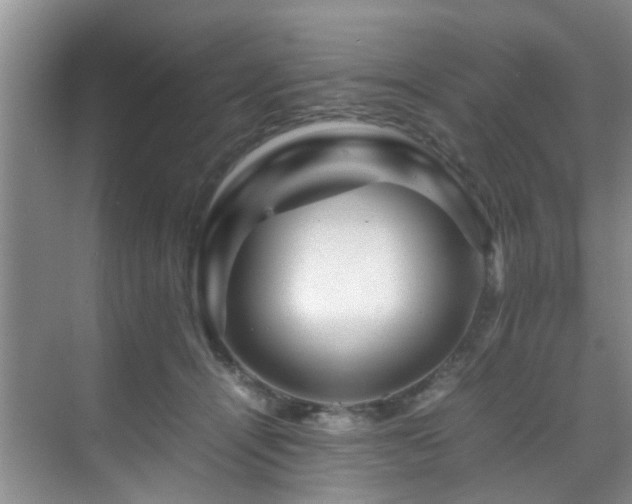 X0000070350464200606091056