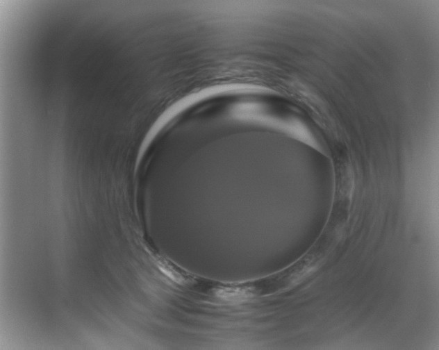 X0000070350465200606091057
