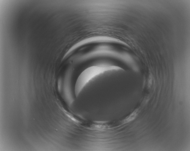 X0000070350466200606091057