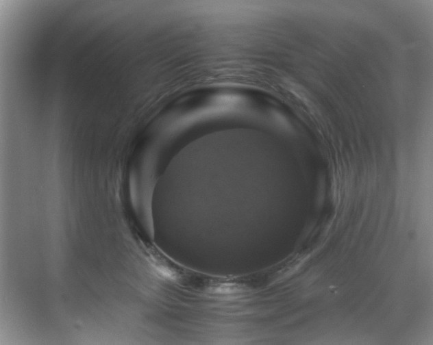 X0000070350467200606091057