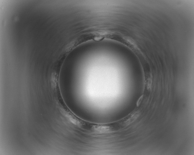 X0000070350476200606091057