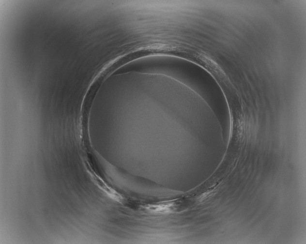 X0000070350484200606091056