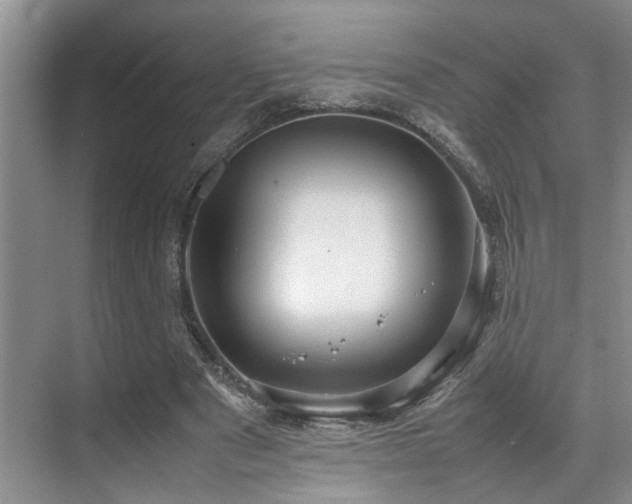 X0000070350489200606091056