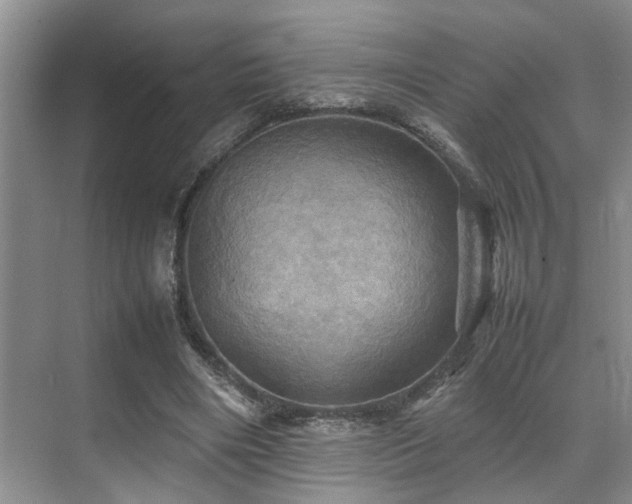 X0000070350490200606091056