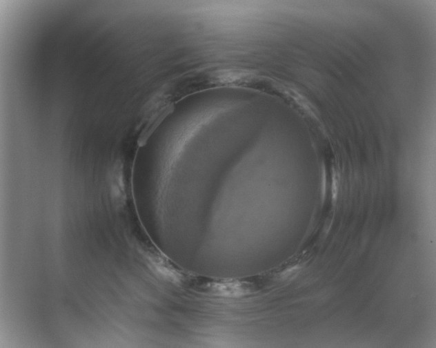 X0000070350524200606091055