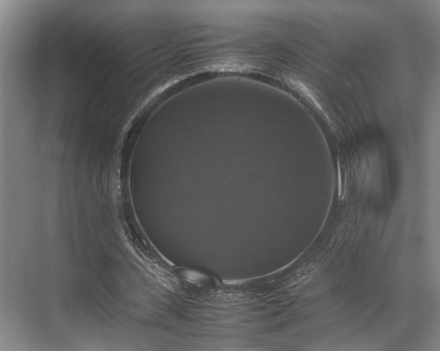 X0000070350531200606091054