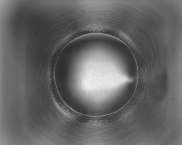 X0000070350538200606091054
